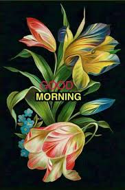 Flower good morning pictures images wallpaper pics latest new free download. Goodmorning Good Morning Images Pictures Wallpaper Facebook