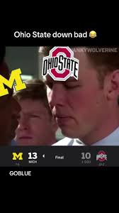 Wincraft Ncaa Ohio State University 13887014 Tattoos