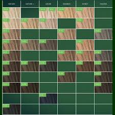 Schwarzkopf Essensity Color Chart Sbiroregon Org