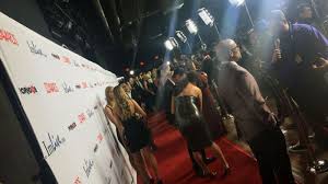 Random Notes From a Red Notebook: 2015 AVN Awards Red Carpet | AVN