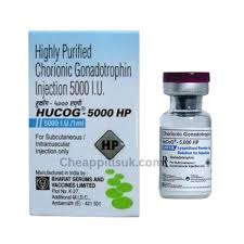Image result for Chorionic Gonadotropin Injectable Solution