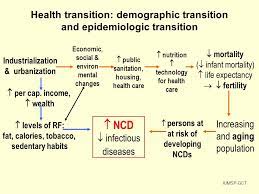 Descriptors are arranged in a hierarchical structure. Definition Of The Health Transition Ppt Download