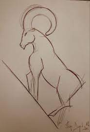 Mouflon Drawing Dessin Stephanedeguilhen Corse Corsica Altarocca Bavella Dessin Image Corse Dessin Corse