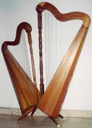 Image result for Harpachne