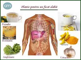 Hepatoprotectoare naturale pentru ficat obosit, steatoză hepatică (ficat gras) și alte probleme cu ficatul. Anamaria Med Plante Pentru Ficat Obosit Ficatul Este Facebook