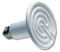 Zoo Med Ceramic Heat Emitter 30 40gal 100 Watt In 2021 Zoo Med Ceramics Reptiles Pet
