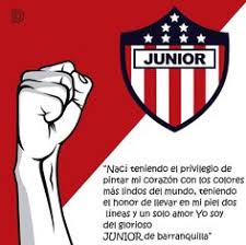 Junior de barranquilla comunica que sus jugadores y cuerpo técnico no se contagiaron de coronavirus al venir a ecuador. 9 Ideas De Tiburones Tiburones Equipo De Futbol Futbol Colombiano