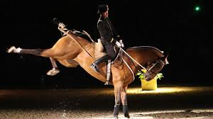 More images for cadre noir » Les Estivales Du Cadre Noir 2015