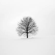 デザイン初心者やデザイン発注に慣れていないクライアントがよく発症している病気があります 僕は 余白恐怖症 なんて呼んでます 笑 余白があると何か要素を入れなきゃいけない気がする まだスペースがあるからこの情報入れてください 余白って 美