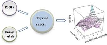 If you had medullary thyroid cancer (mtc), your doctors will check the levels of calcitonin and carcinoembryonic antigen (cea) in your blood. Plasma Polybrominated Diphenyl Ethers Urinary Heavy Metals And The Risk Of Thyroid Cancer A Case Control Study In China Environmental Pollution X Mol