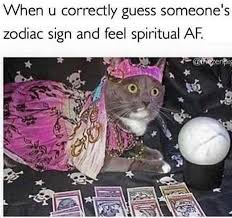 34 Memes You Ll Only Understand If Cats Rule Everything Around You Funny Pictures Memes Funny Spiritual Memes