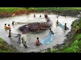 Enjoy a variety of sports and. River Monster Detailed Login Instructions Loginnote
