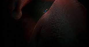Dory speak whale image 1149842 on favim com. Ticia On Twitter I Have But That Fact Isn T Grabbing Me The Same Way And I Admit It S Partially Because I Don T Like The Way The Word Uvula Sounds I Freely Admit