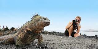 Everything you need to know about the galapagos islands: Galapagos Galapagos Ecuador Reisen Informationsportal