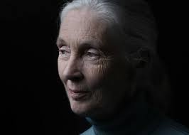 An audiobook roundup