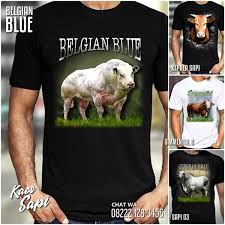 Serta gambar lucu dan berita unik dan fakta aneh download video aneh!! Kaos Sapi Baju Kaos Gambar Sapi Simental Kaos Sapi Limosin Sapi Super Kaos Binatang Gambar