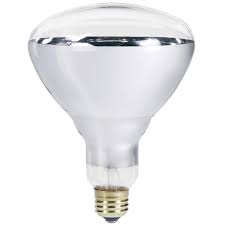 Philips 250 Watt 120 Volt Br40 Incandescent Heat Lamp Light Bulb 416743 The Home Depot Light Bulb Infrared Light Bulb Bathroom Heat Lamp