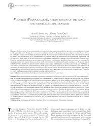 Image result for Pleopeltis  × simiana