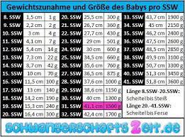 32 Ssw Entwicklung Grosse Bauch Senkwehen Wehen