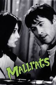 How to watch and stream Mallrats - 1995 on Roku