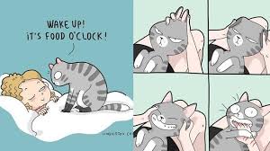Gambar cerita komik hewan dan tumbuhan. 6 Ilustrasi Komik Suka Duka Pelihara Kucing Ini Bikin Gemas Hot Liputan6 Com
