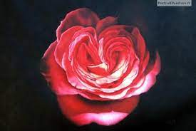 Nous vous proposons actuellement 47 modèles de lettres remboursement. Peinture De Fleurs Fleurs En Peinture Portrait De Fleur Portrait Peinture Peinture A L Huile A Partir De Photos