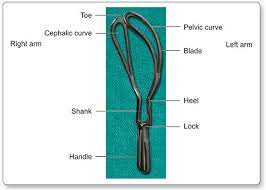 Obstetric forceps are used to guide fetal movement during delivery, ideally accompanied by active pushing by the mother. Jaypeedigital Ebook Reader