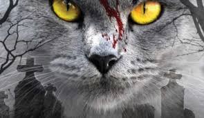 Resultado de imagen de cementerio de animales novela