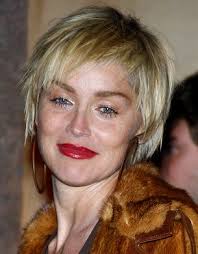 Why get a short spiky hairstyle? Sharon Stone Hairstyle 2 Short Hairstyles For Women Dot Com Women