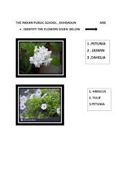 We did not find results for: Flower Name Worksheet