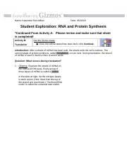 The strand is dna because there are 2 strands ; Kasandra Silva Millan Rna Proteinsynthesis Explore Learning Act B Doc Name Kasandra Silva Millan Date Student Exploration Rna And Protein Course Hero