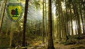 Regimul juridic al acestei institutii. IntrÄƒ In Vigoare Noul Contract Colectiv De MuncÄƒ Al Regiei NaÈ›ionale A PÄƒdurilor Romsilva C