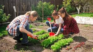 Keeping your lawn lush, green and weed free is high on everyone's to do list and can be accomplished with the right lawn equipment. Beginners Guide To Gardening In Montana Owenhouse Ace Hardware