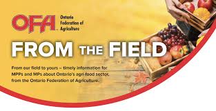 22 1tc7hza9zxk75m 22 When Is Thanksgiving In Ontario 2020 Pics