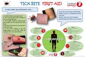 Tick Bites And Lyme Disease What You Should Know Bristol Nordic Walking