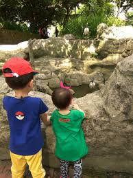 Hornbill cafe located kl bird park, malaysia. Review Kl Bird Park
