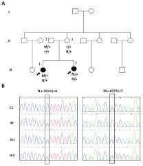 Mutations Of The Fbn3 Gene In A Chinese Family With Bbs