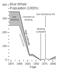 File Blue Whale Population V1 Svg Wikipedia