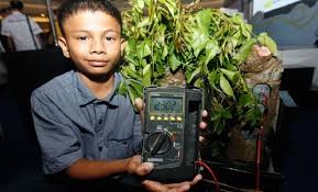 Check spelling or type a new query. Budak Bijak Menemui Elektrik Dalam Pokok Kedondong Daily Rakyat