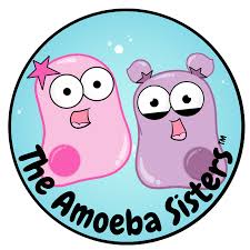 Worksheets are amoeba sisters video. Amoeba Sisters Alleles And Genes Quizlet Genes Alleles And Chromosomes Flashcards Quizlet If The Allele B Is Used To Denote Color Blindness Circle The Genotype S That Correctly Represent S A That