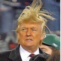 Chris Janowski (chrisjanowski)