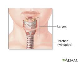 Image result for Tracheostomy