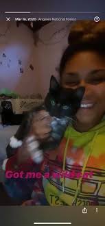 Help with traveling with a fearful one-year-old cat