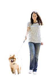 Woman Dog Render People People Cutout Photoshop Resources