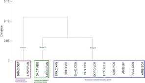 Image result for Microcharis remotiflora