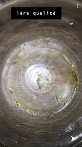 Fabriquer Son Huile Page 17 Huile Bho Dho Etc Cannaweed
