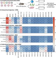 Image result for Poppy Red 1999 AAV