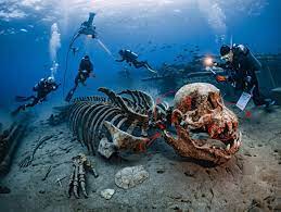Surreal 16-Meter Sea Monster Skeleton Found Near Bilbao—Bay of Biscay's  Ancient Riddle? In a sediment crevice off Bilbao in the Bay of Biscay, a  16-meter-tall skeleton with fins and sharp teeth was