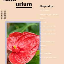 The Meaning Behind Every Flower Decoded