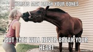 Horses Horses Funny Funny Horse Meme Horsememe Horse Funnyhorse Horses The Post Horses A Funny Horse Memes Horse Riding Quotes Equestrian Memes
